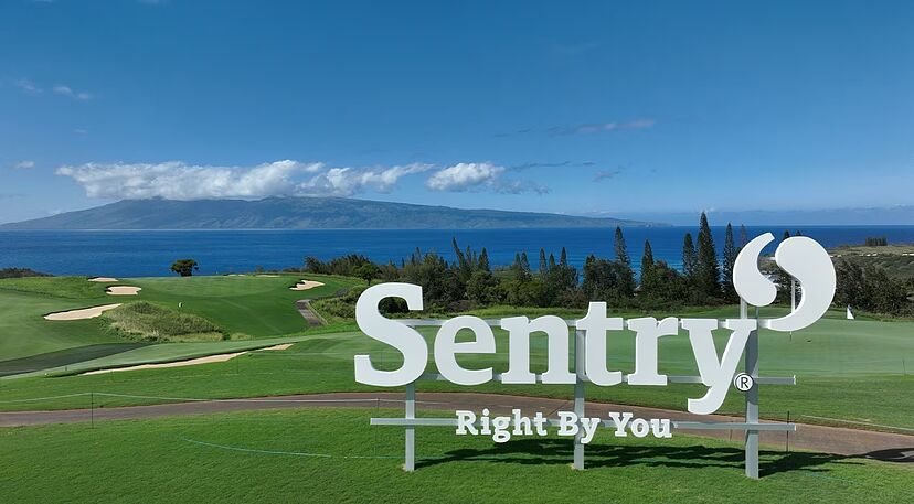 The Sentry